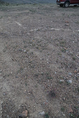 DNDIMG 8480 DNDIMG 8480