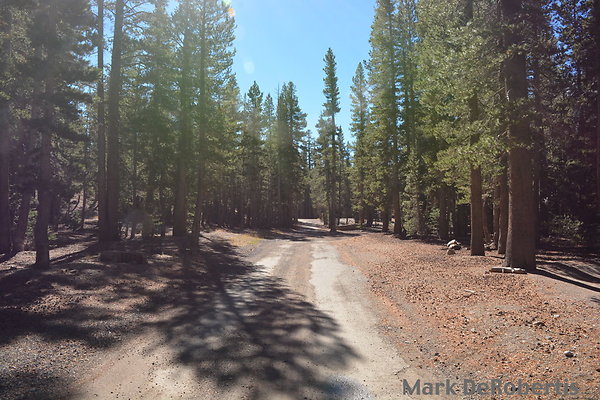 MDR 4980 x MDR 4980 x