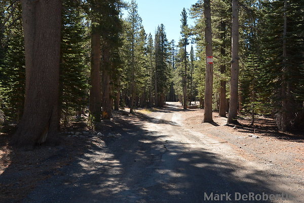 MDR 4960 - 160deg MDR 4960 - 160deg