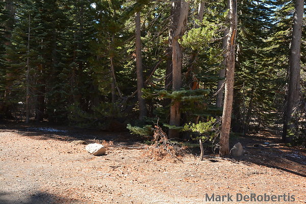 MDR 4961 - 11am MDR 4961 - 11am