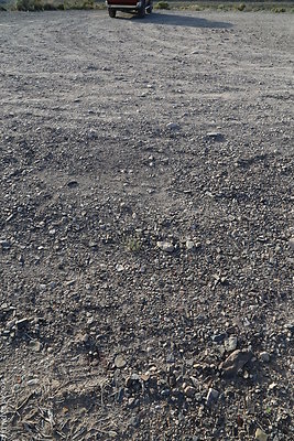 DNDIMG 8403 DNDIMG 8403