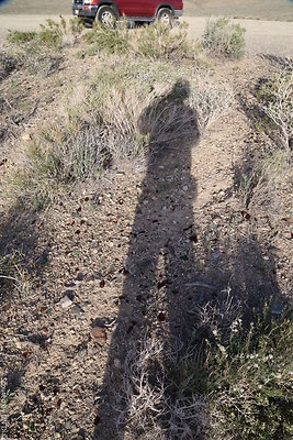 DNDIMG 8410 DNDIMG 8410