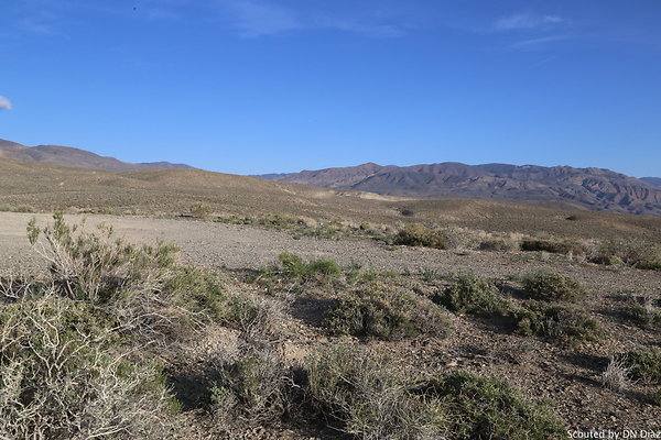 DNDIMG 8406 DNDIMG 8406