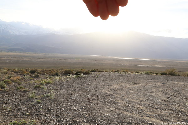 DNDIMG 8397 DNDIMG 8397