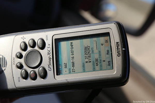 zDNDIMG 8418 zDNDIMG 8418