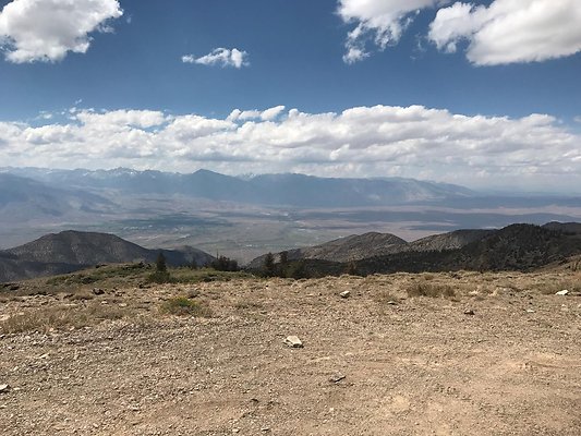 resized IMG 3481 resized IMG 3481