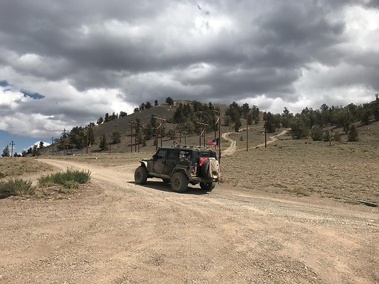 resized IMG 3482 resized IMG 3482