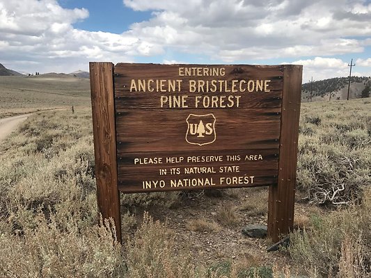 resized IMG 3484 resized IMG 3484