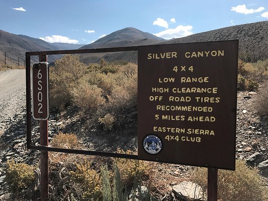 resized IMG 3361 resized IMG 3361