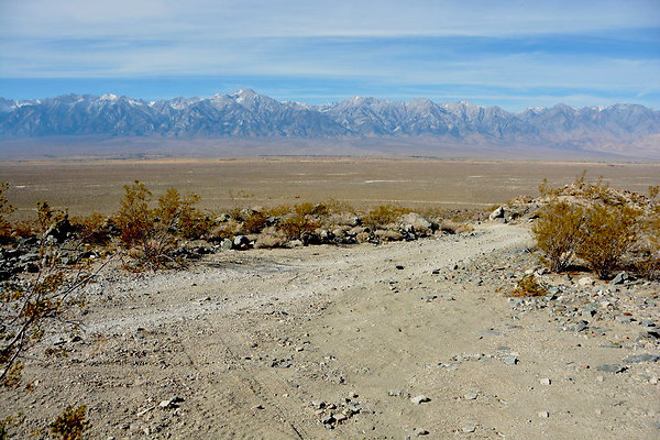 11 Reward Mine 11 Reward Mine