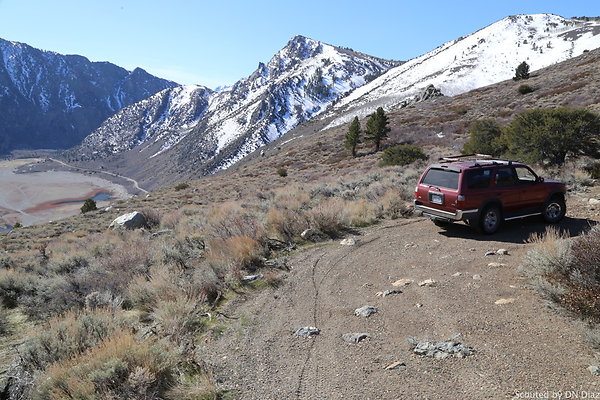 zDNDIMG 7884 zDNDIMG 7884