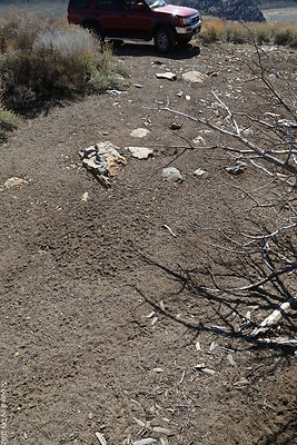 DNDIMG 7905 DNDIMG 7905