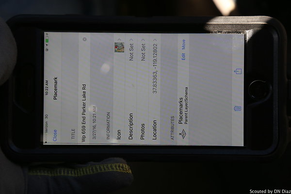 zDNDIMG 7921 zDNDIMG 7921