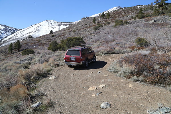 DNDIMG 7897 DNDIMG 7897