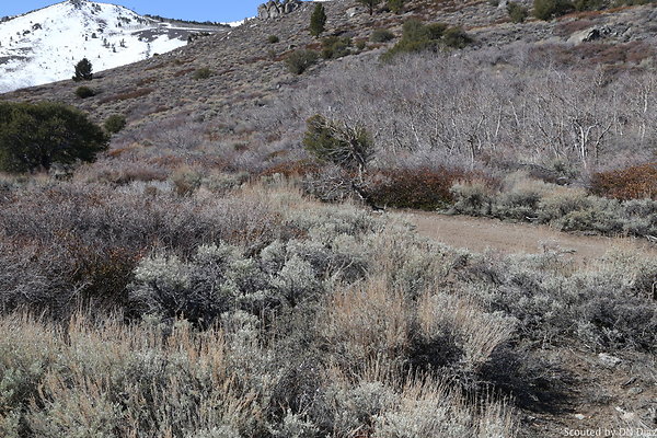 DNDIMG 7887 DNDIMG 7887