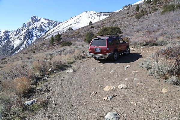 DNDIMG 7913 DNDIMG 7913