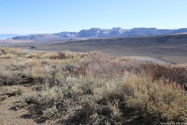 DNDIMG 7899 DNDIMG 7899