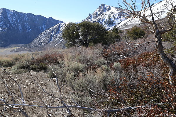 DNDIMG 7901 DNDIMG 7901