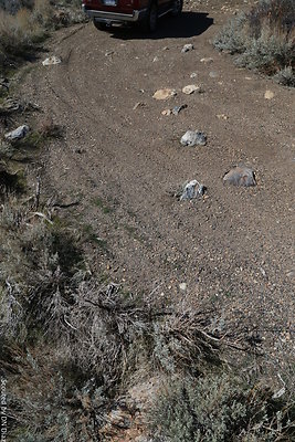 DNDIMG 7898 DNDIMG 7898