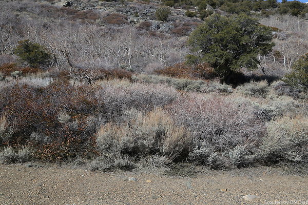 DNDIMG 7894 DNDIMG 7894