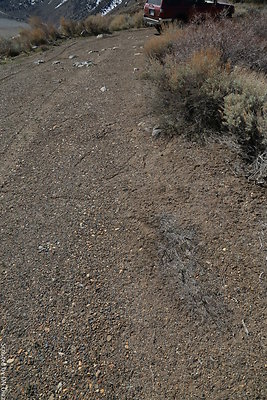 DNDIMG 7891 DNDIMG 7891