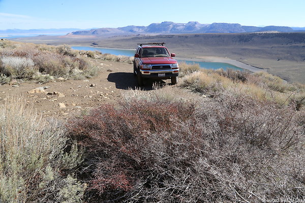 DNDIMG 7911 DNDIMG 7911