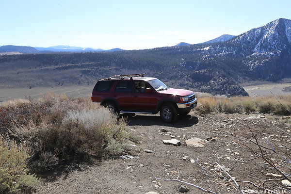 DNDIMG 7900 DNDIMG 7900