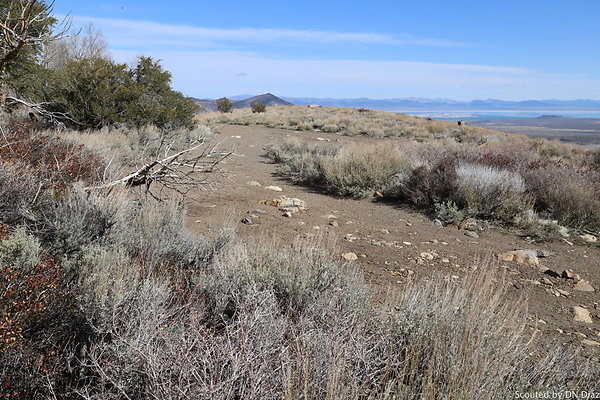 DNDIMG 7906 DNDIMG 7906