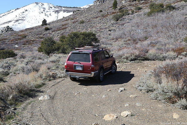 DNDIMG 7893 DNDIMG 7893