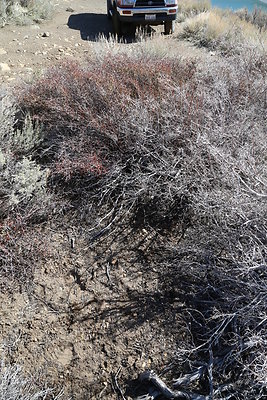 DNDIMG 7912 DNDIMG 7912