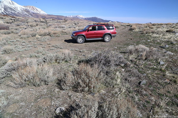 DNDIMG 7814 DNDIMG 7814