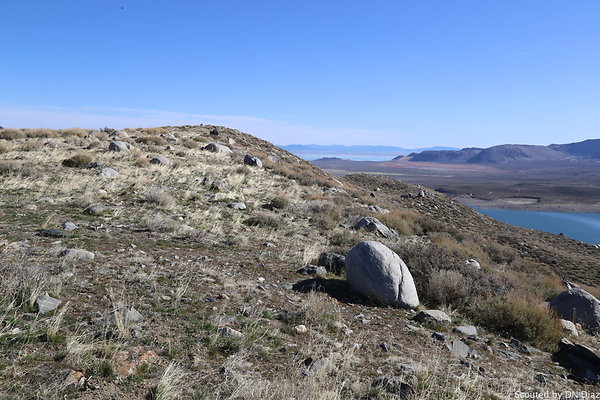 DNDIMG 7811 DNDIMG 7811