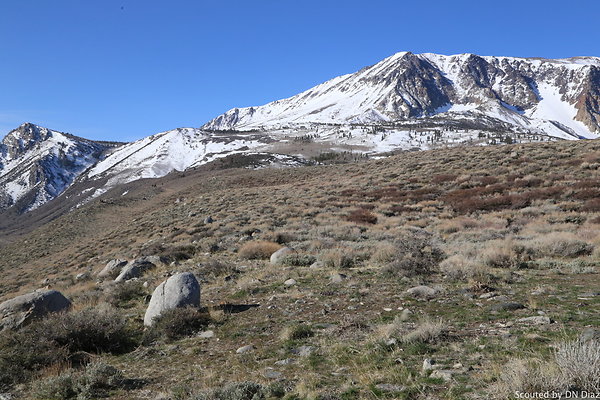 DNDIMG 7759 DNDIMG 7759