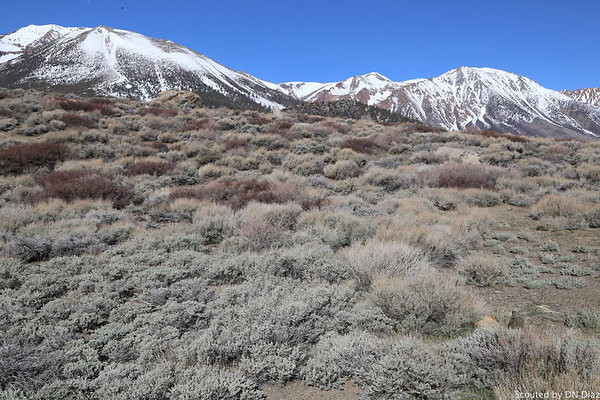 DNDIMG 7809 DNDIMG 7809