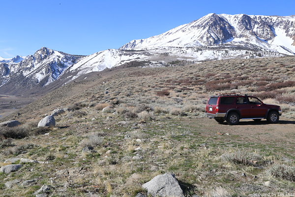 zDNDIMG 7789 zDNDIMG 7789