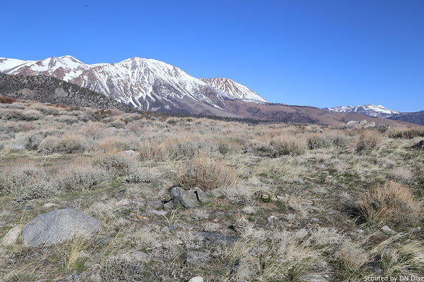 DNDIMG 7761 DNDIMG 7761