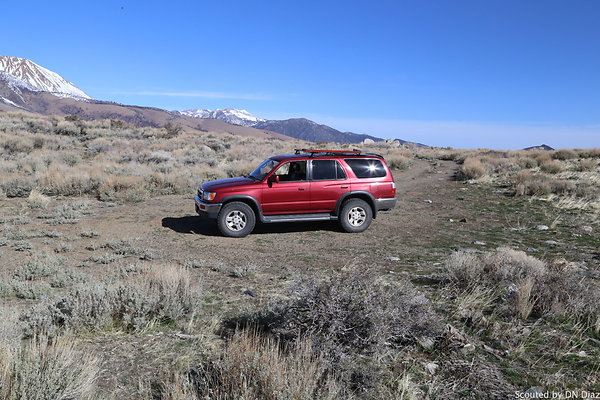 DNDIMG 7810 DNDIMG 7810