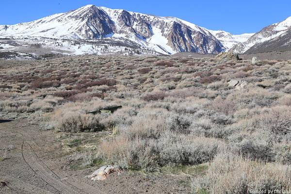 DNDIMG 7753 DNDIMG 7753