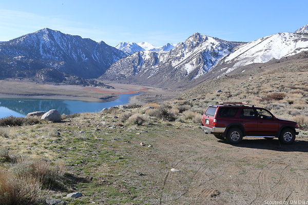 ADNDIMG 7782 ADNDIMG 7782