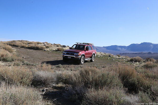 DNDIMG 7767 DNDIMG 7767