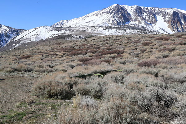 DNDIMG 7800 DNDIMG 7800