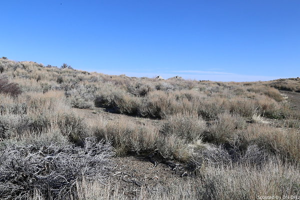 DNDIMG 7766 DNDIMG 7766