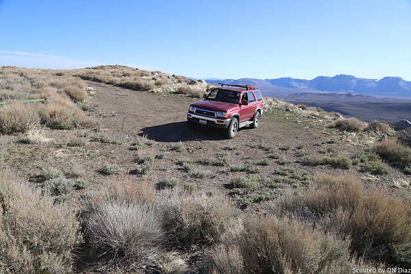 DNDIMG 7774 DNDIMG 7774