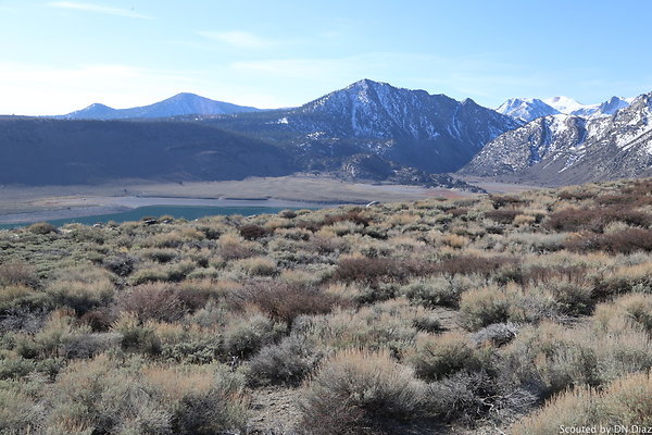 DNDIMG 7778 DNDIMG 7778