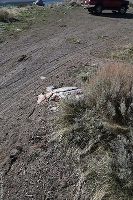 DNDIMG 7804 DNDIMG 7804