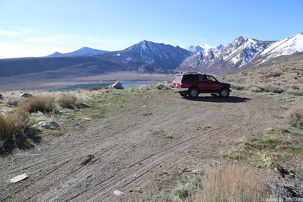 DNDIMG 7803 DNDIMG 7803