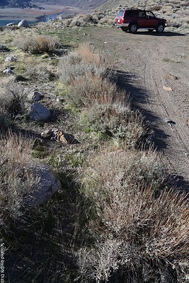 DNDIMG 7758 DNDIMG 7758