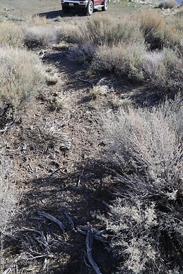 DNDIMG 7773 DNDIMG 7773