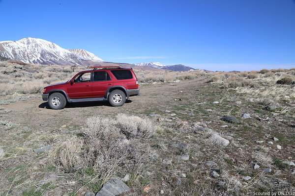 DNDIMG 7805 DNDIMG 7805