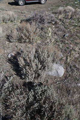 DNDIMG 7815 DNDIMG 7815